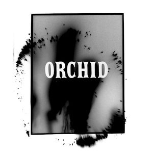 Orchid (Single)