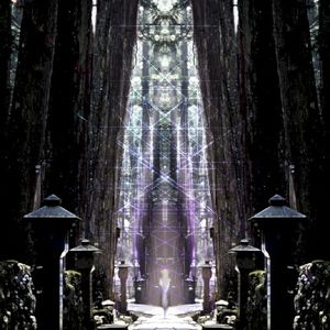 Forest Run (Single)