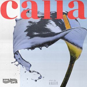 calla (Single)