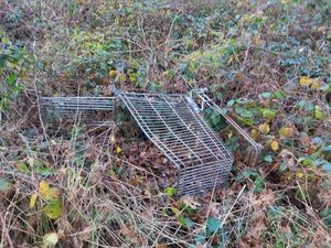 An Album About a Shopping Trolley