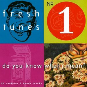 No. 1: Do You Know What I Mean? (Single)