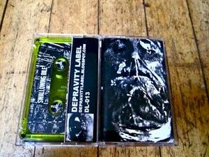 Swallowing Bile (EP)