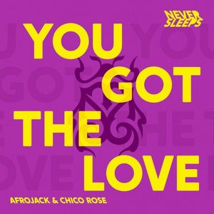 You Got the Love (Single)