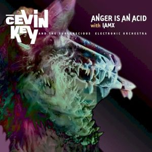Anger Is an Acid (Single)