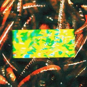 Bag of Worms (Single)