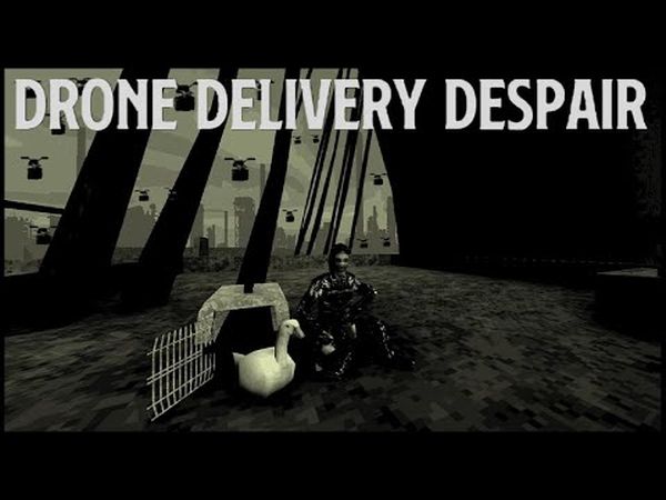 Drone Delivery Despair