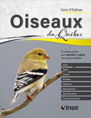 Oiseaux du Québec : guide pratique pour identifier et attirer vos oiseaux préférés