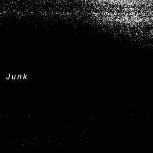 Junk (Single)
