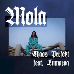 Chaos perfekt (Single)