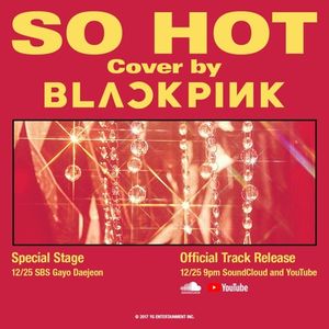 SO HOT (THEBLACKLABEL remix)