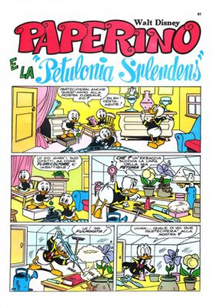 La "Pétulonia Splendidus" - Donald Duck