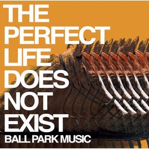 The Perfect Life Does Not Exist (Single)