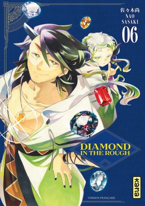 Diamond in the Rough, tome 6