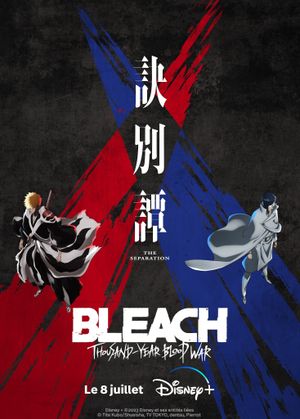 Bleach: Thousand-Year Blood War - The Separation