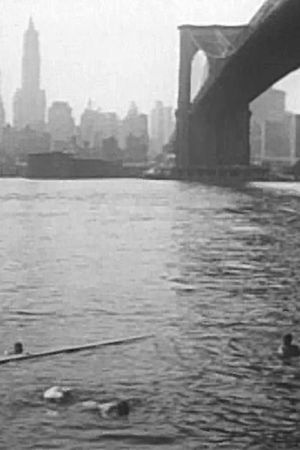 Under Brooklyn bridge