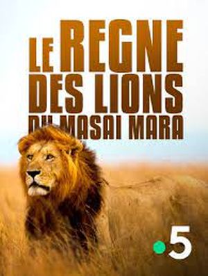 Le Règne des lions du Masaï Mara