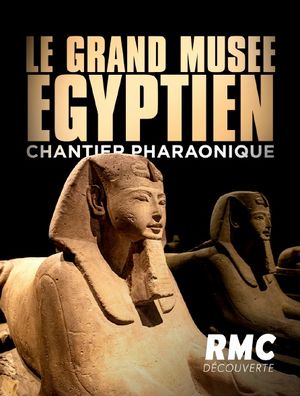 Le grand musée égyptien : un chantier pharaonique