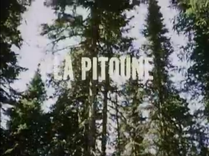 La Pitoune