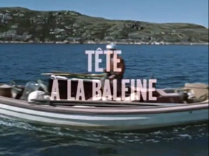 Tête-à-la-Baleine