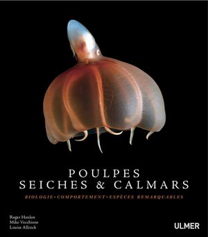 Poulpes, seiches & calmars : biologie, comportement, espèces remarquables