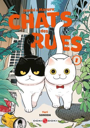 Hachi & Maruru : Chats des rues