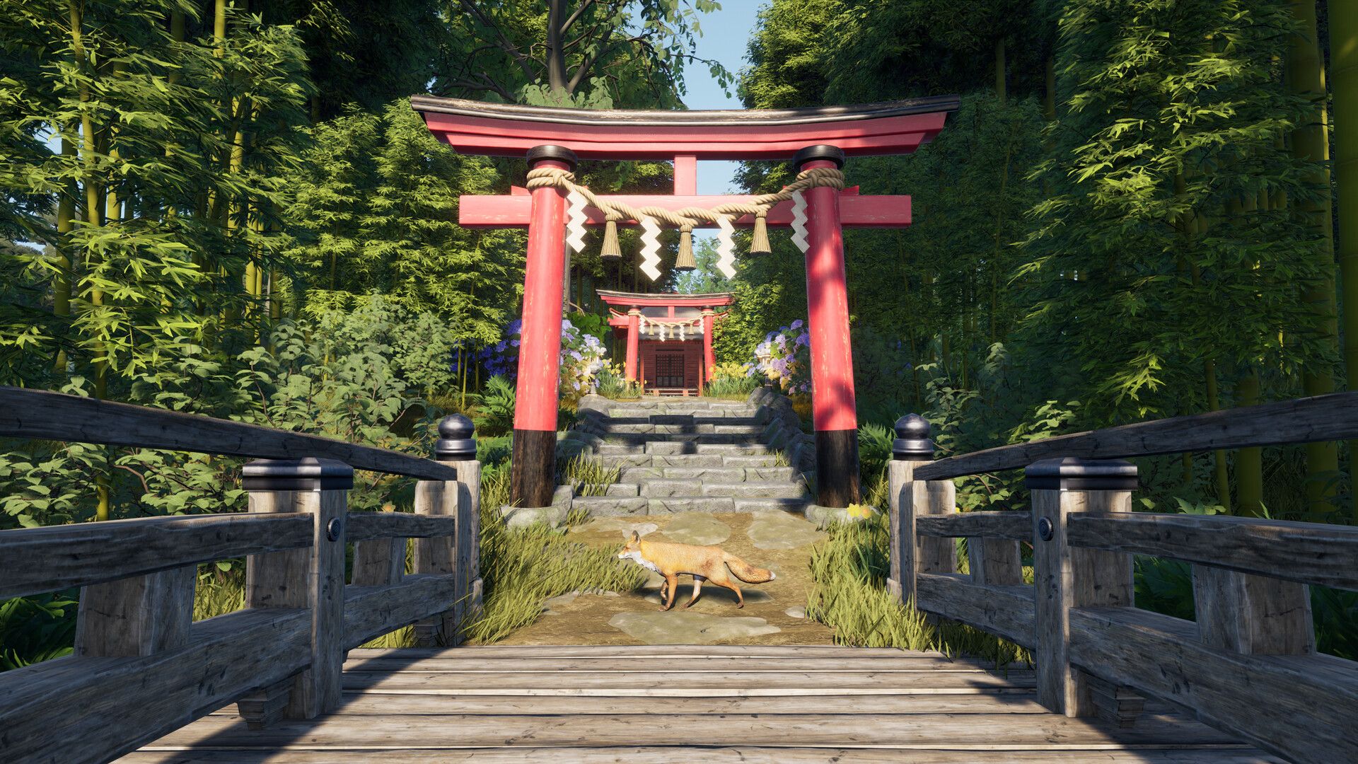 backdrop