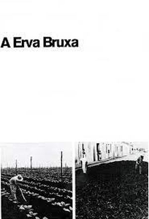 A Erva Bruxa