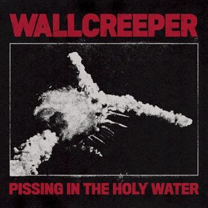 Pissing in the Holy Water