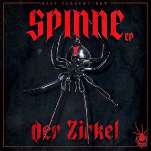 Spinne