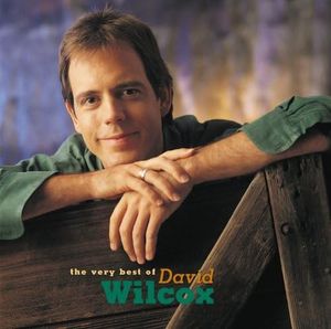 The Very Best of David Wilcox