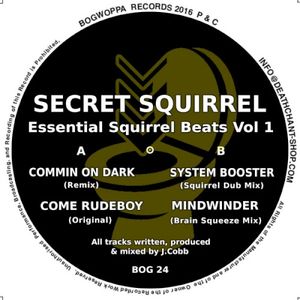 Essential Squirrel Beats Vol 1 (EP)