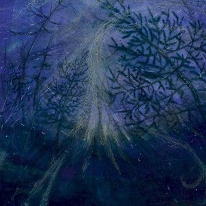 Forest Storm