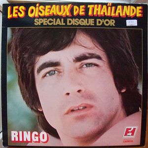 Les oiseaux de Thaïlande (spécial disque d'or)