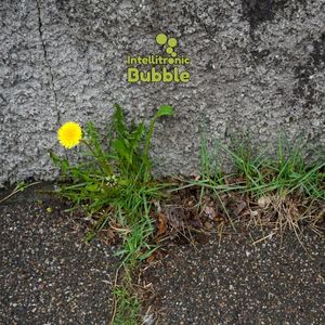 Bubble Flowers चार