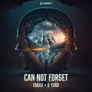 Can Not Forget (Single)
