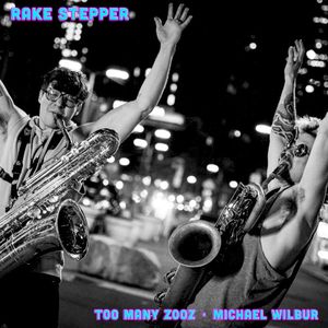 Rake Stepper (Single)