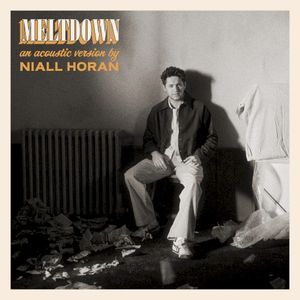 Meltdown (acoustic) (Single)