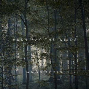 Hush Say the Wilds (Single)