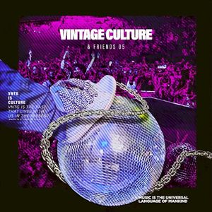 Vintage Culture & Friends, Vol. 5 (Single)