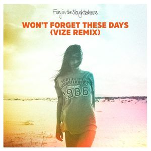 Won’t Forget These Days (VIZE remix)