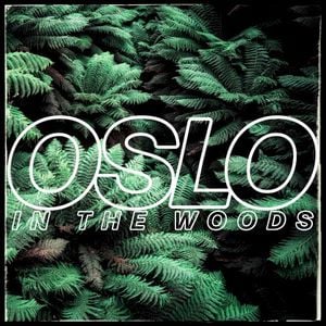 In The Woods (Single)