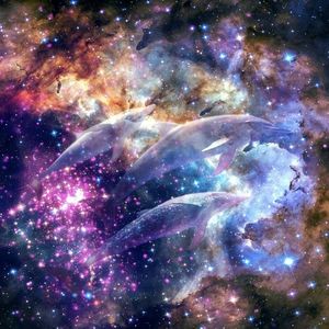 Cosmic Dolphin (Single)