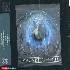 Magnetic Field (EP)