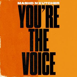 You're The Voice (Single)