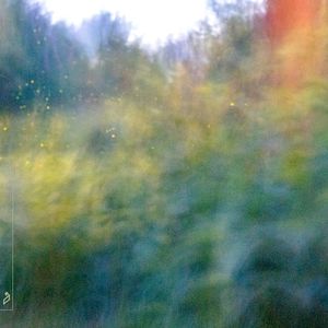 fireflies (for as far as we could see) (EP)