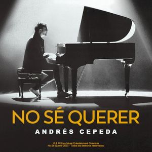 No sé querer (Single)