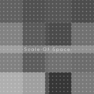 Scale of Space (Self Rshape)