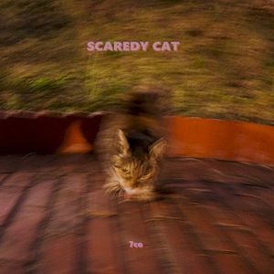 SCAREDY CAT (Single)
