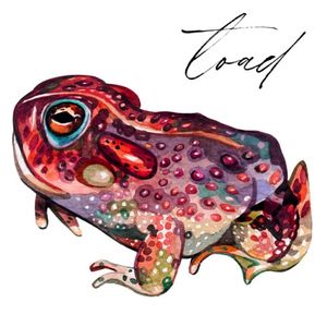 Toad (Single)