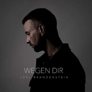 Wegen Dir (Single)